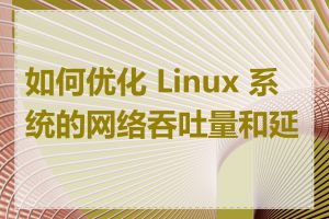 如何优化 Linux 系统的网络吞吐量和延迟