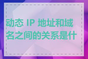 动态 IP 地址和域名之间的关系是什么