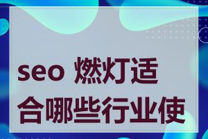 seo 燃灯适合哪些行业使用