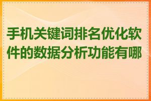 手机关键词排名优化软件的数据分析功能有哪些