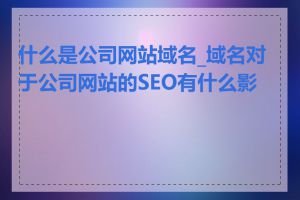 什么是公司网站域名_域名对于公司网站的SEO有什么影响