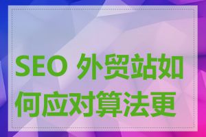 SEO 外贸站如何应对算法更新