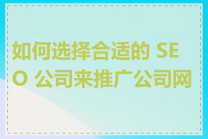 如何选择合适的 SEO 公司来推广公司网站
