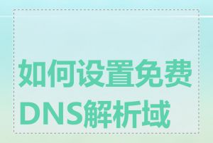 如何设置免费DNS解析域名