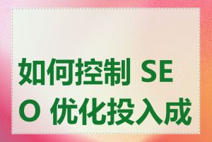 如何控制 SEO 优化投入成本