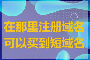 在那里注册域名可以买到短域名吗
