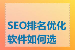 SEO排名优化软件如何选择