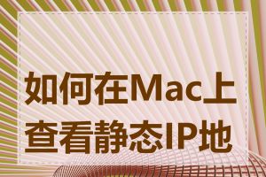 如何在Mac上查看静态IP地址
