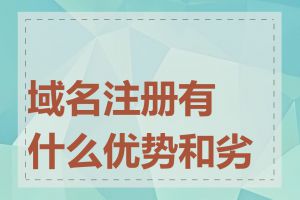域名注册有什么优势和劣势