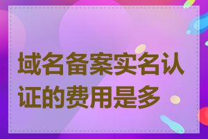 域名备案实名认证的费用是多少