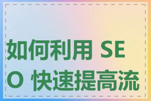 如何利用 SEO 快速提高流量