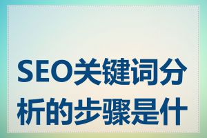 SEO关键词分析的步骤是什么