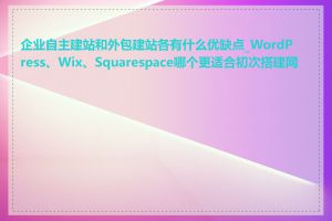 企业自主建站和外包建站各有什么优缺点_WordPress、Wix、Squarespace哪个更适合初次搭建网站