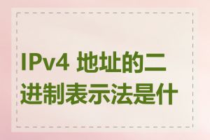 IPv4 地址的二进制表示法是什么