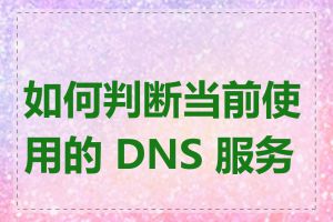 如何判断当前使用的 DNS 服务器