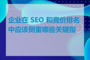 企业在 SEO 和竞价排名中应该侧重哪些关键指标