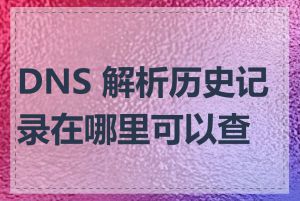 DNS 解析历史记录在哪里可以查看