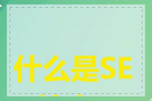 什么是SEO检查工具