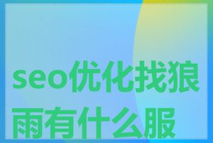 seo优化找狼雨有什么服务