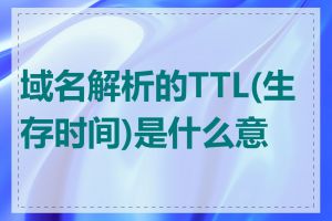 域名解析的TTL(生存时间)是什么意思