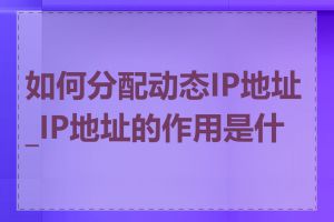如何分配动态IP地址_IP地址的作用是什么