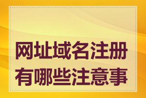 网址域名注册有哪些注意事项