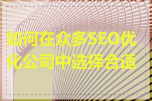 如何在众多SEO优化公司中选择合适的