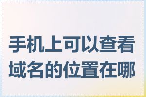 手机上可以查看域名的位置在哪里
