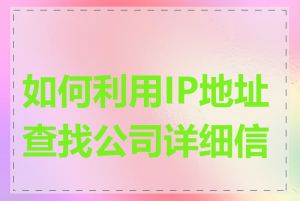 如何利用IP地址查找公司详细信息