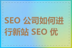 SEO 公司如何进行新站 SEO 优化