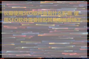 长期使用SEO软件会有什么影响_使用SEO软件需要搭配其他哪些营销工具