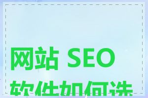 网站 SEO 软件如何选择