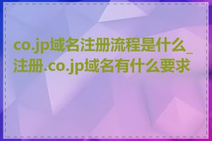 co.jp域名注册流程是什么_注册.co.jp域名有什么要求吗