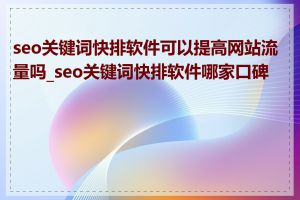 seo关键词快排软件可以提高网站流量吗_seo关键词快排软件哪家口碑好