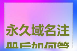 永久域名注册后如何管理