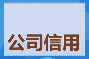 公司信用记录怎么查