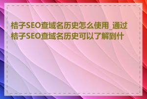 桔子SEO查域名历史怎么使用_通过桔子SEO查域名历史可以了解到什么
