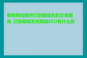 哪些网站提供已到期域名的交易服务_已到期域名对网站SEO有什么影响