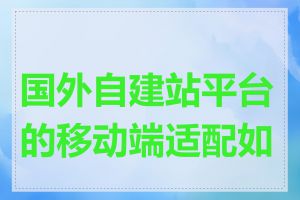 国外自建站平台的移动端适配如何