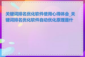 关键词排名优化软件使用心得体会_关键词排名优化软件自动优化原理是什么