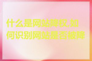什么是网站降权,如何识别网站是否被降权