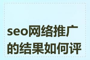 seo网络推广的结果如何评估