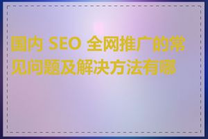 国内 SEO 全网推广的常见问题及解决方法有哪些