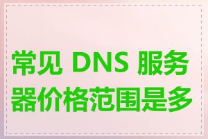 常见 DNS 服务器价格范围是多少