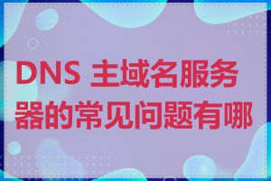 DNS 主域名服务器的常见问题有哪些