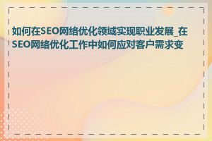 如何在SEO网络优化领域实现职业发展_在SEO网络优化工作中如何应对客户需求变化