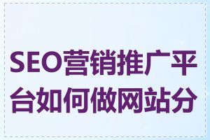 SEO营销推广平台如何做网站分析