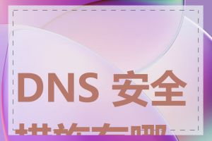 DNS 安全措施有哪些