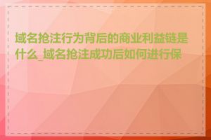域名抢注行为背后的商业利益链是什么_域名抢注成功后如何进行保护