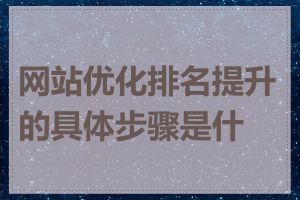 网站优化排名提升的具体步骤是什么